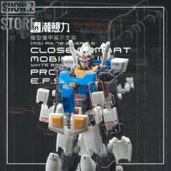 Inforce MG02 MG 1/100 RX-78-2 GUNDAM Ver.2.0 Internal Structure Showcase Display -Toy Store 97a266fe1e