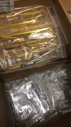 [SZ Custom] Nillson Work 1/60 MBF-P02 Gundam Astray Gold Frame W/ Electroplated Chrome Painting -Toy Store 9de3d1c565