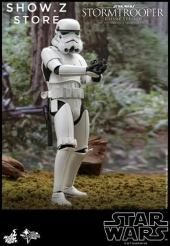 Hot Toys 1/6 Stormtrooper Storm Trooper MMS515 Star Wars Deluxe Version -Toy Store cbf58be6a8