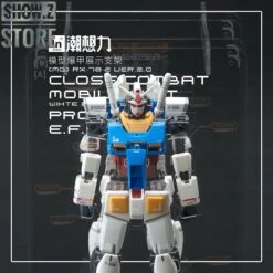 Inforce MG02 MG 1/100 RX-78-2 GUNDAM Ver.2.0 Internal Structure Showcase Display -Toy Store ea3a7e4f81